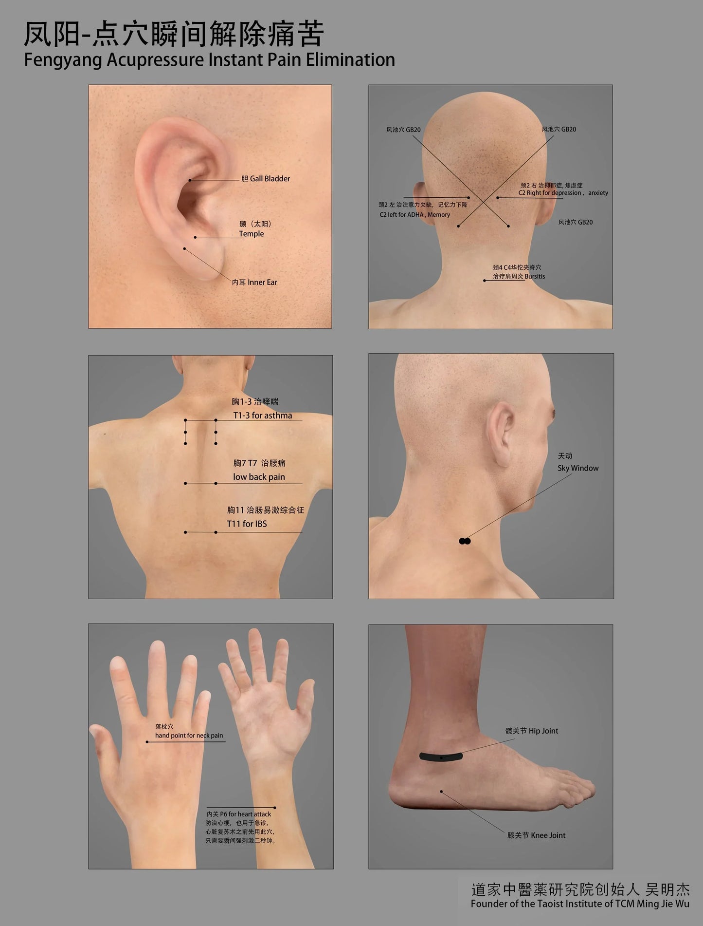 Tui Na Level 2 Workshop (March 8th, 2026) with Dr. Wu