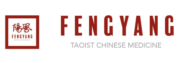 Fengyang Tai Chi