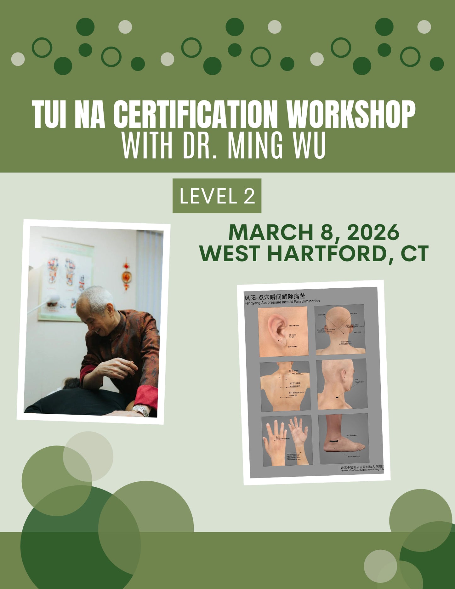 Tui Na Level 2 Workshop (March 8th, 2026) with Dr. Wu
